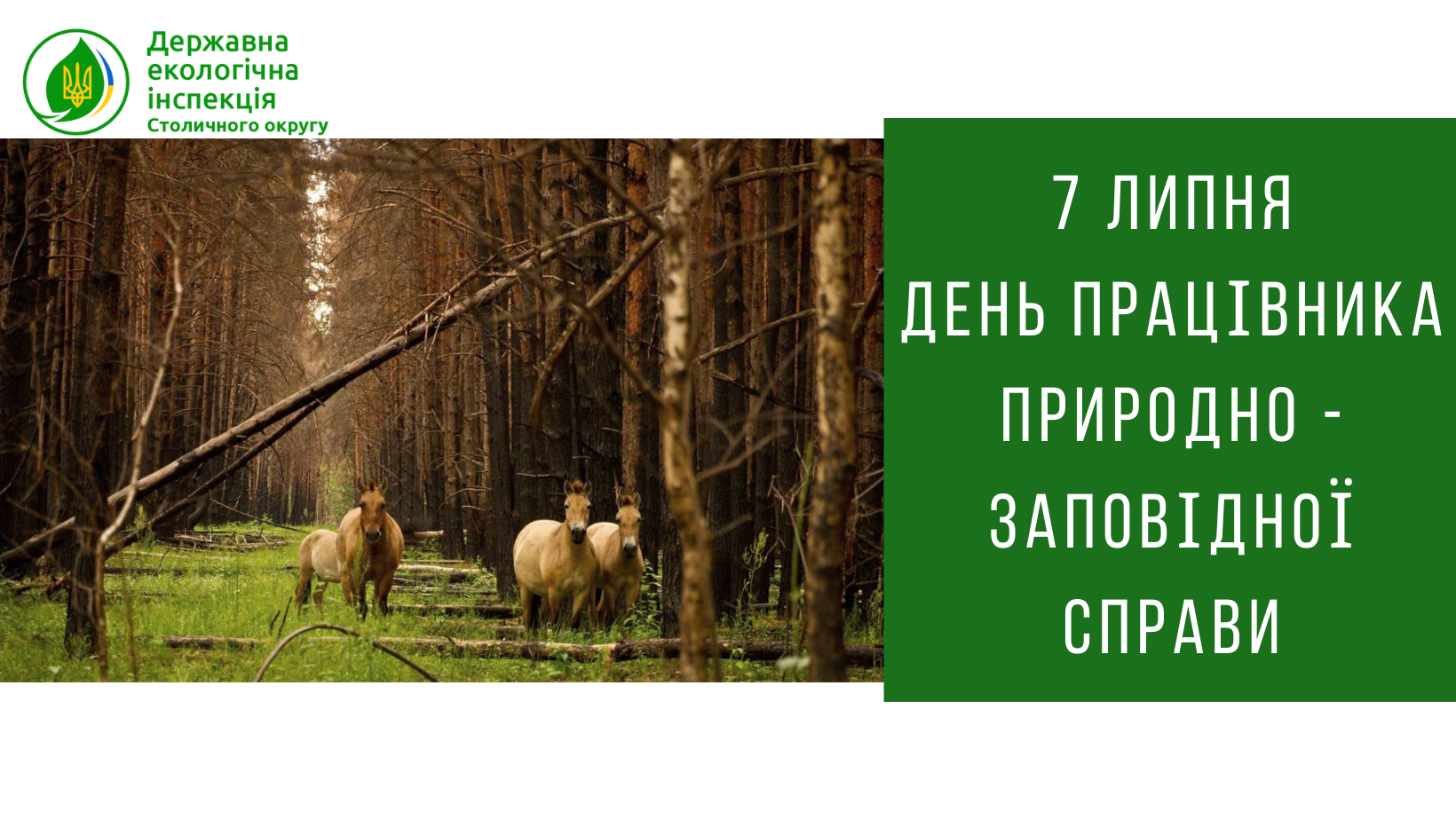 Сьогодні День працівника природно-заповідної справи України.